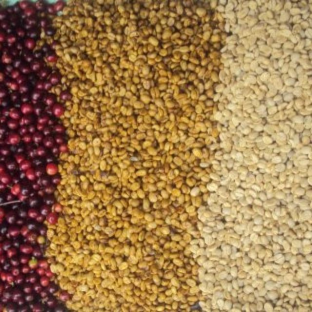 Cafe grano 03