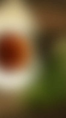 Latest WordPress News